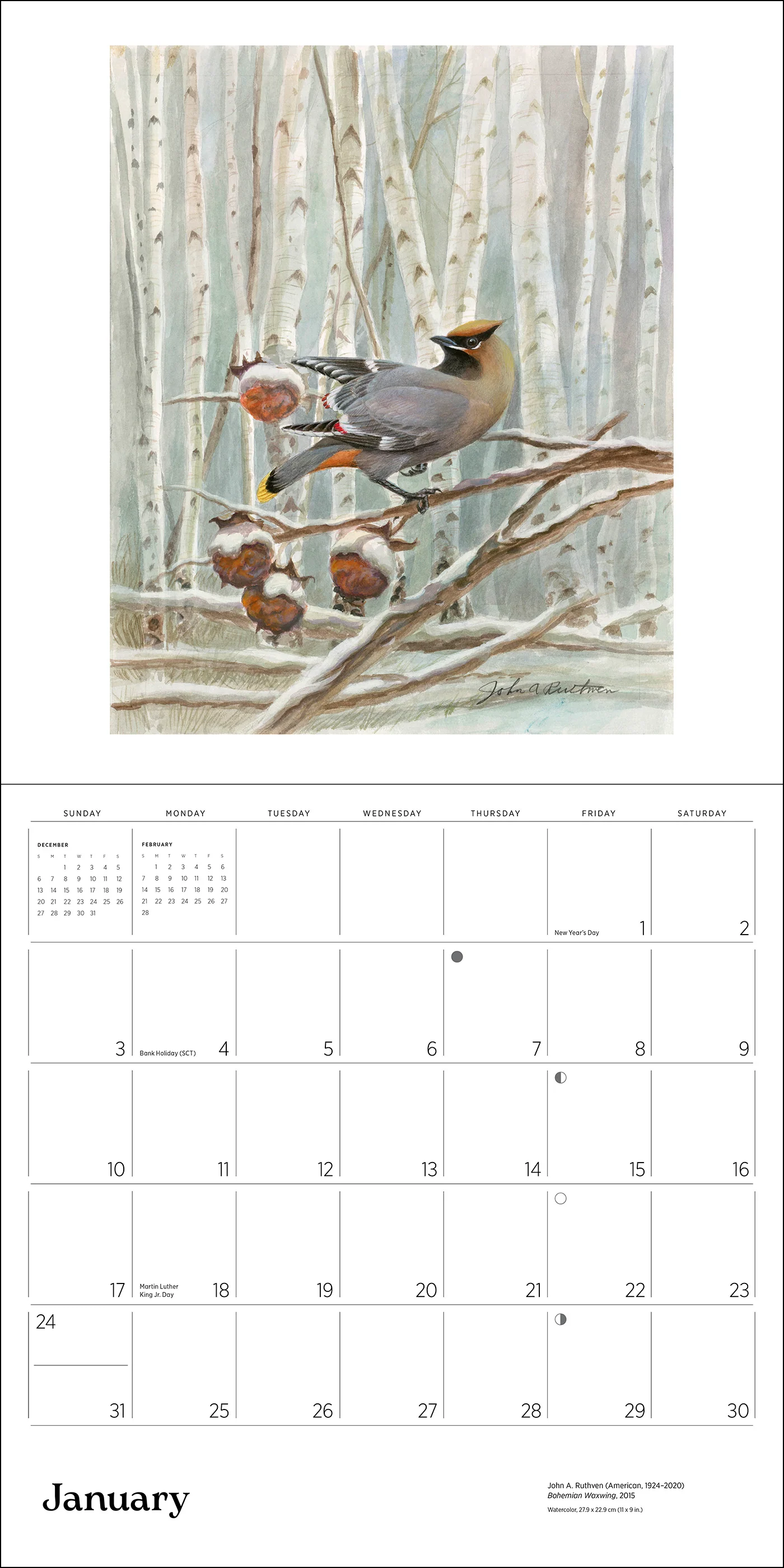 A Birder's View: Paintings by John A. Ruthven 2027 Wall Calendar - Image 2