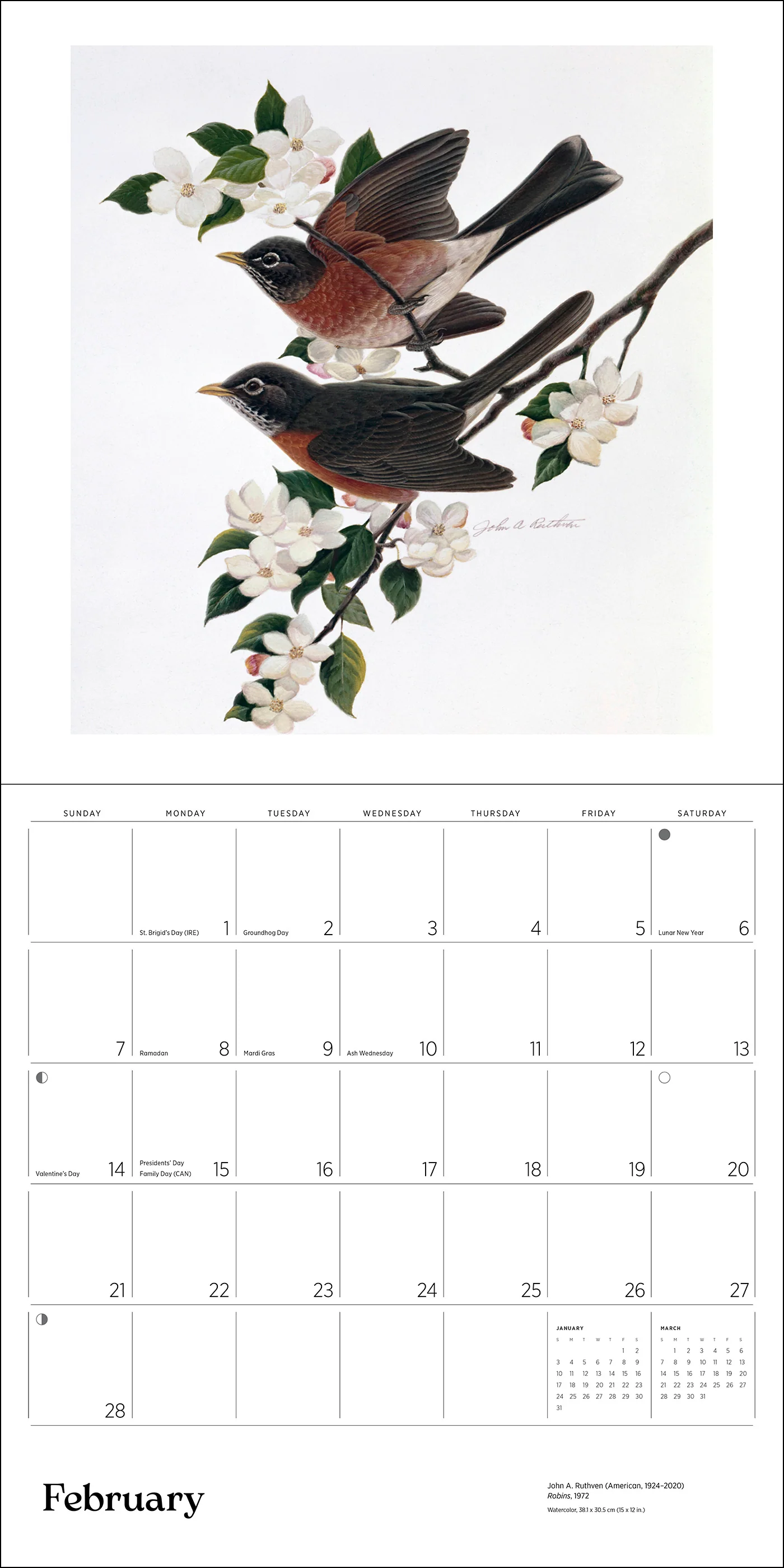 A Birder's View: Paintings by John A. Ruthven 2027 Wall Calendar - Image 3