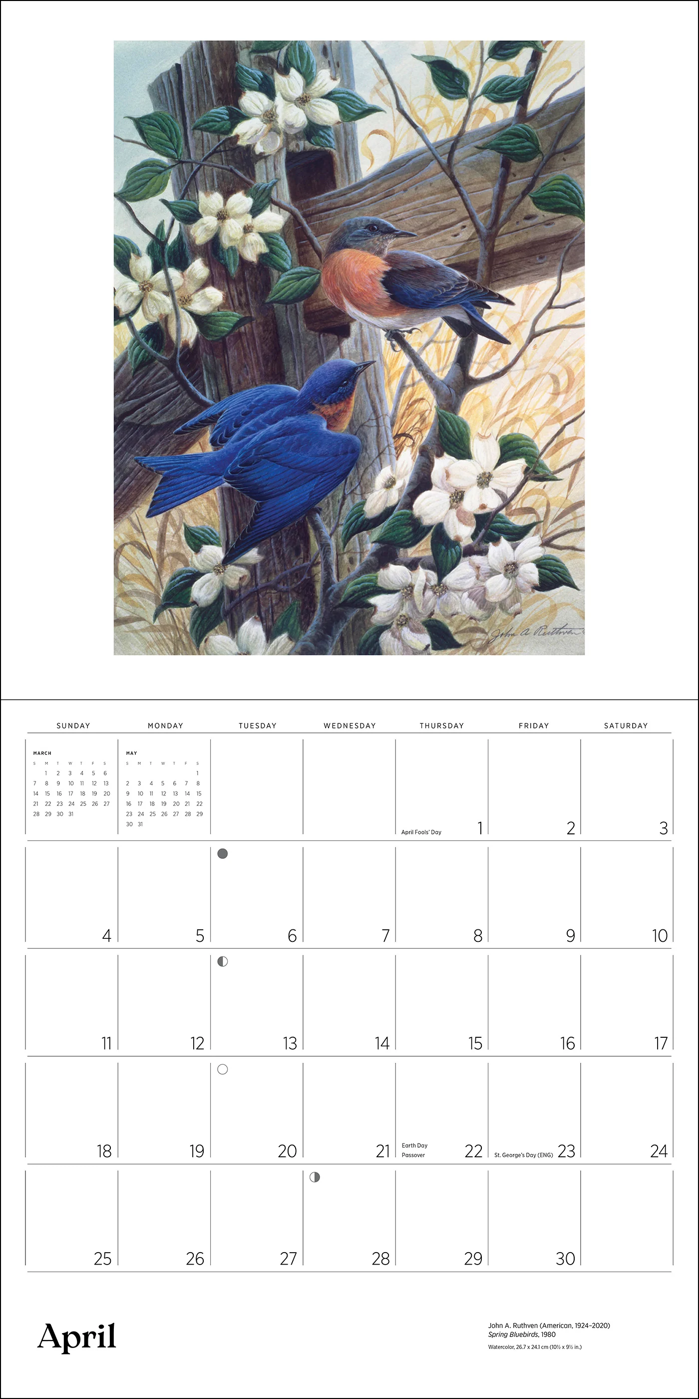 A Birder's View: Paintings by John A. Ruthven 2027 Wall Calendar - Image 5