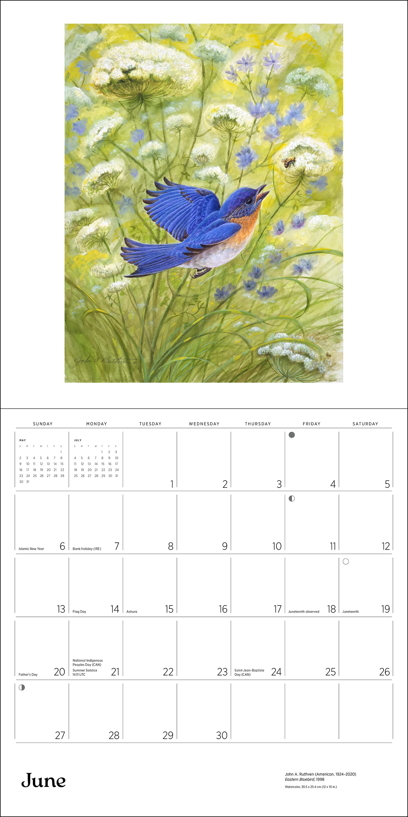 A Birder's View: Paintings by John A. Ruthven 2027 Wall Calendar - Image 6