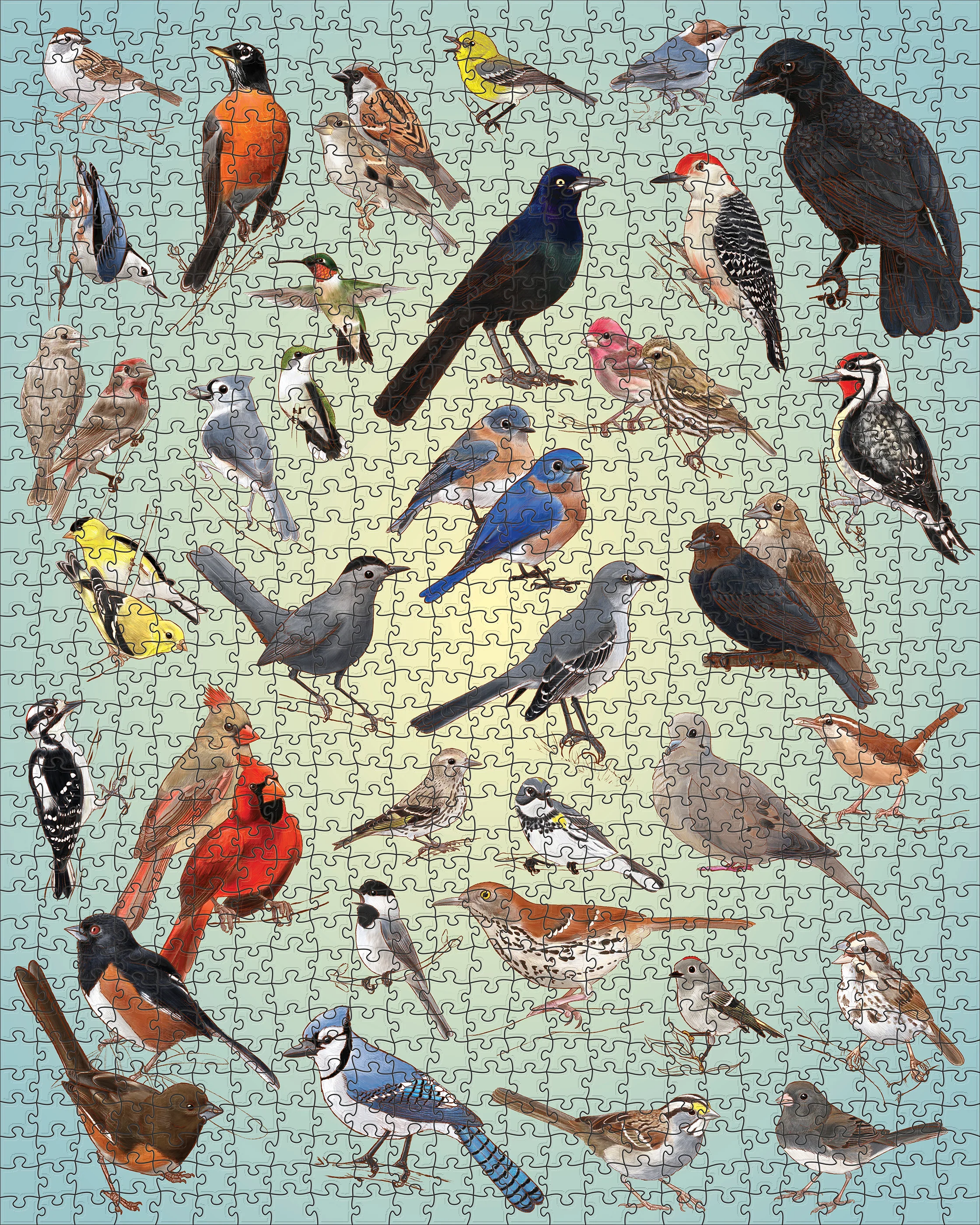 Casey Girard: Backyard Birds 1000-Piece Jigsaw Puzzle - Image 2
