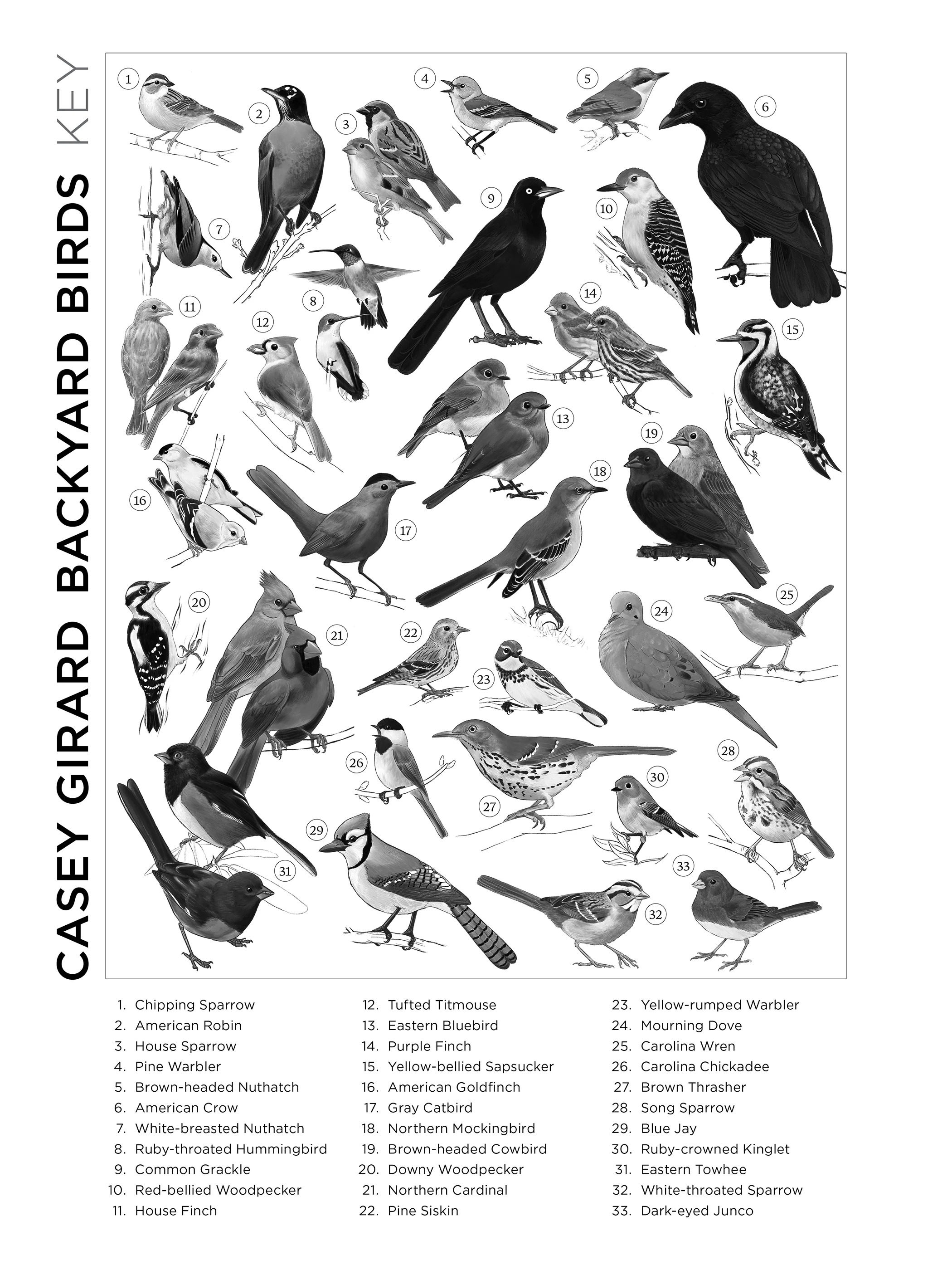 Casey Girard: Backyard Birds 1000-Piece Jigsaw Puzzle - Image 4