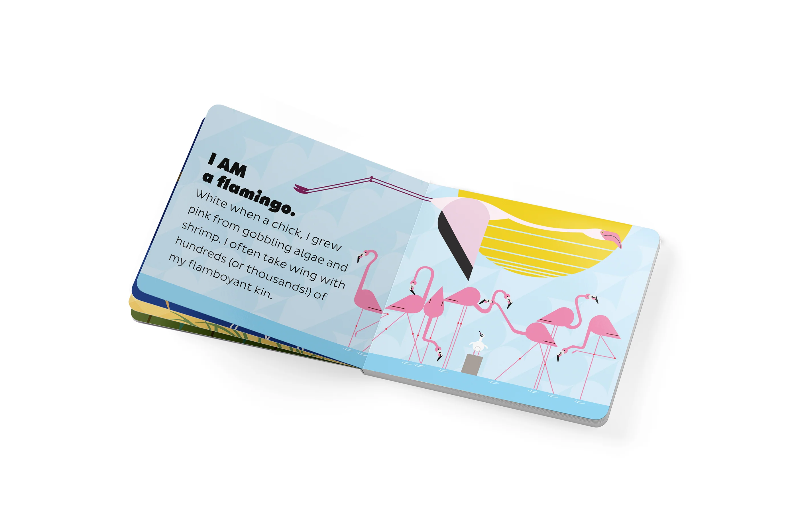 Charley Harper’s I Am Wild in the Sky Board Book - Image 4