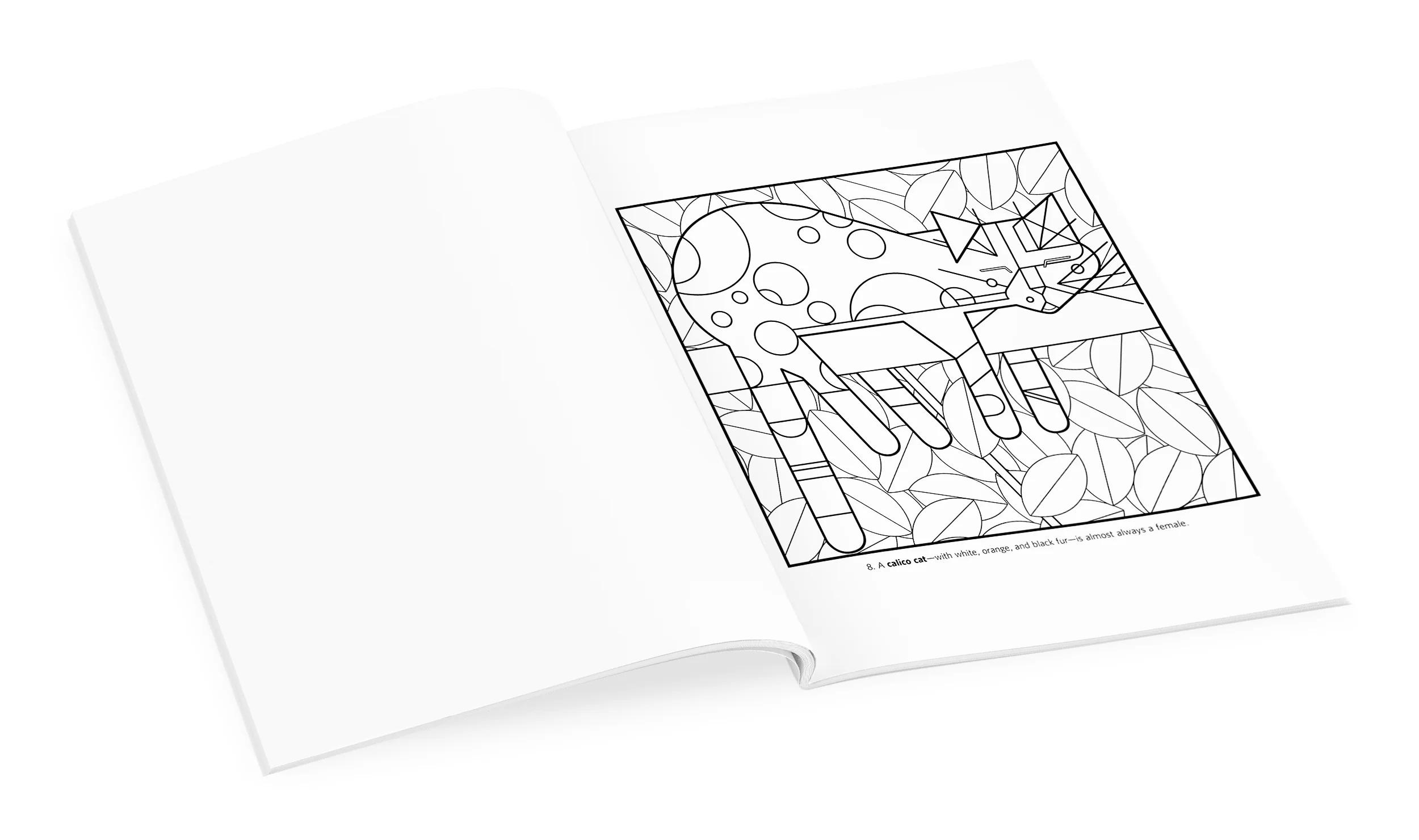Charley Harper: Volume 1 Coloring Book - Image 3