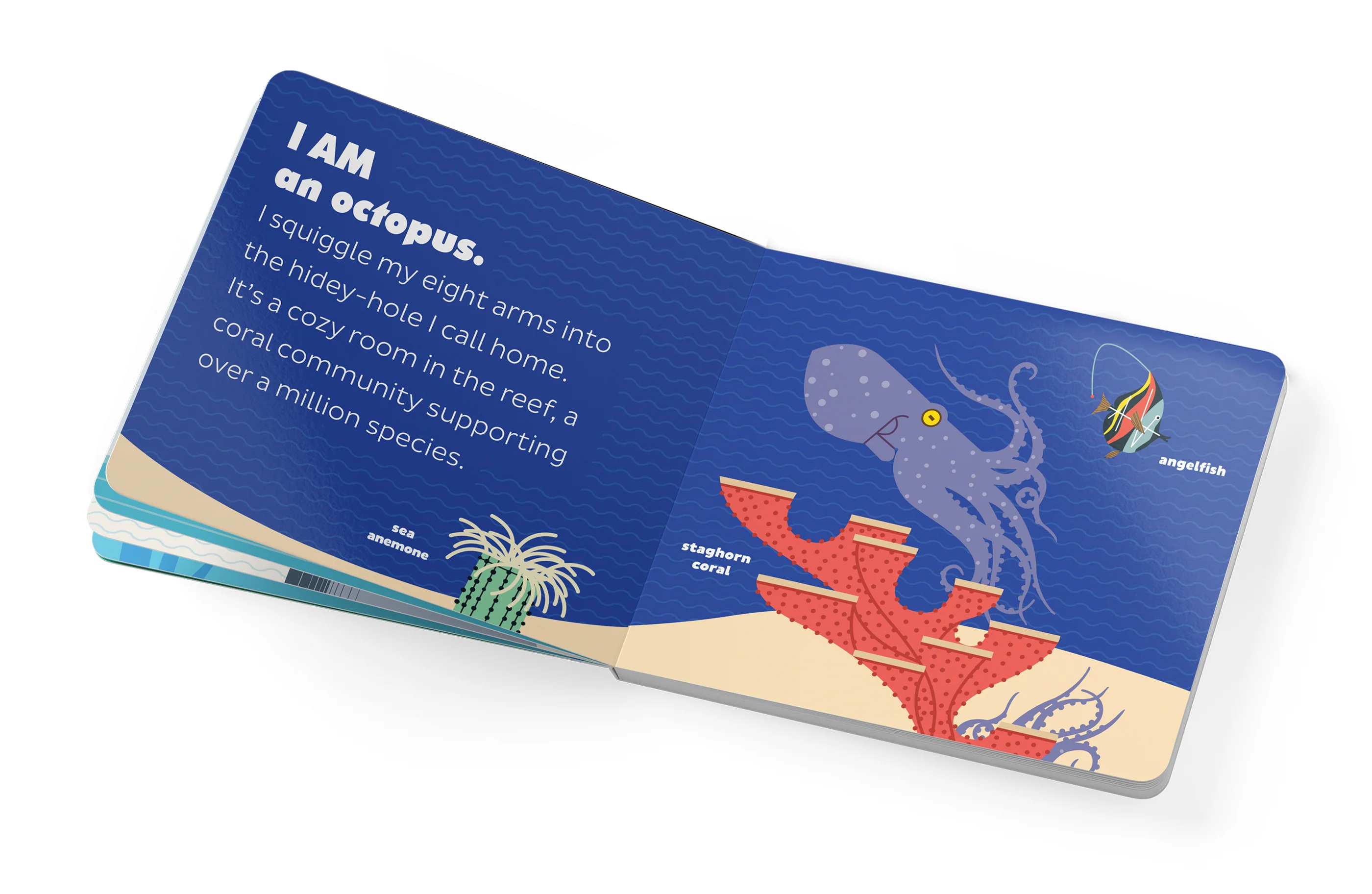 Charley Harper's I Am Wild in the Ocean Board Book - Image 4