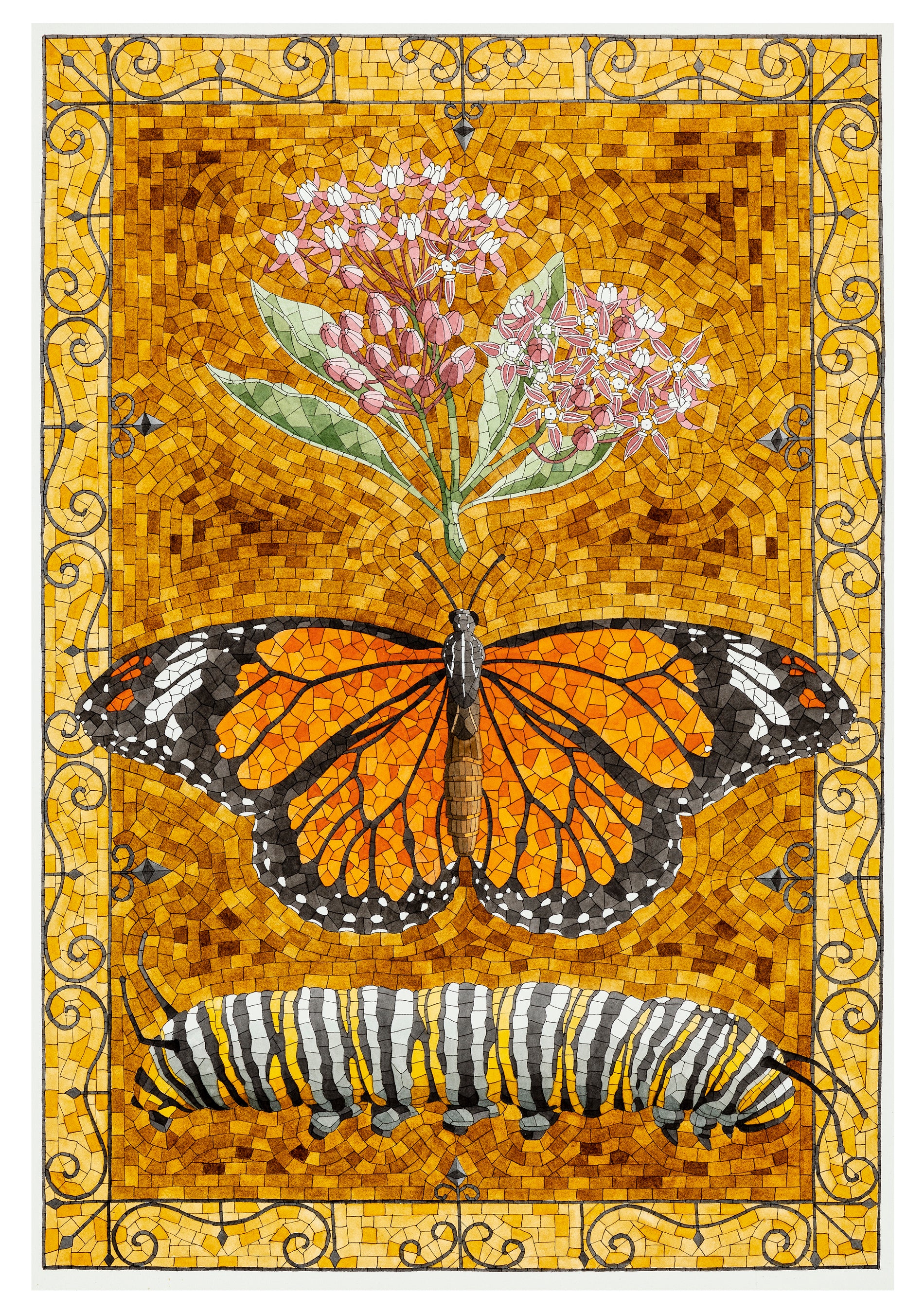 David Cohen: Butterflies Boxed Notecard Assortment - Image 4
