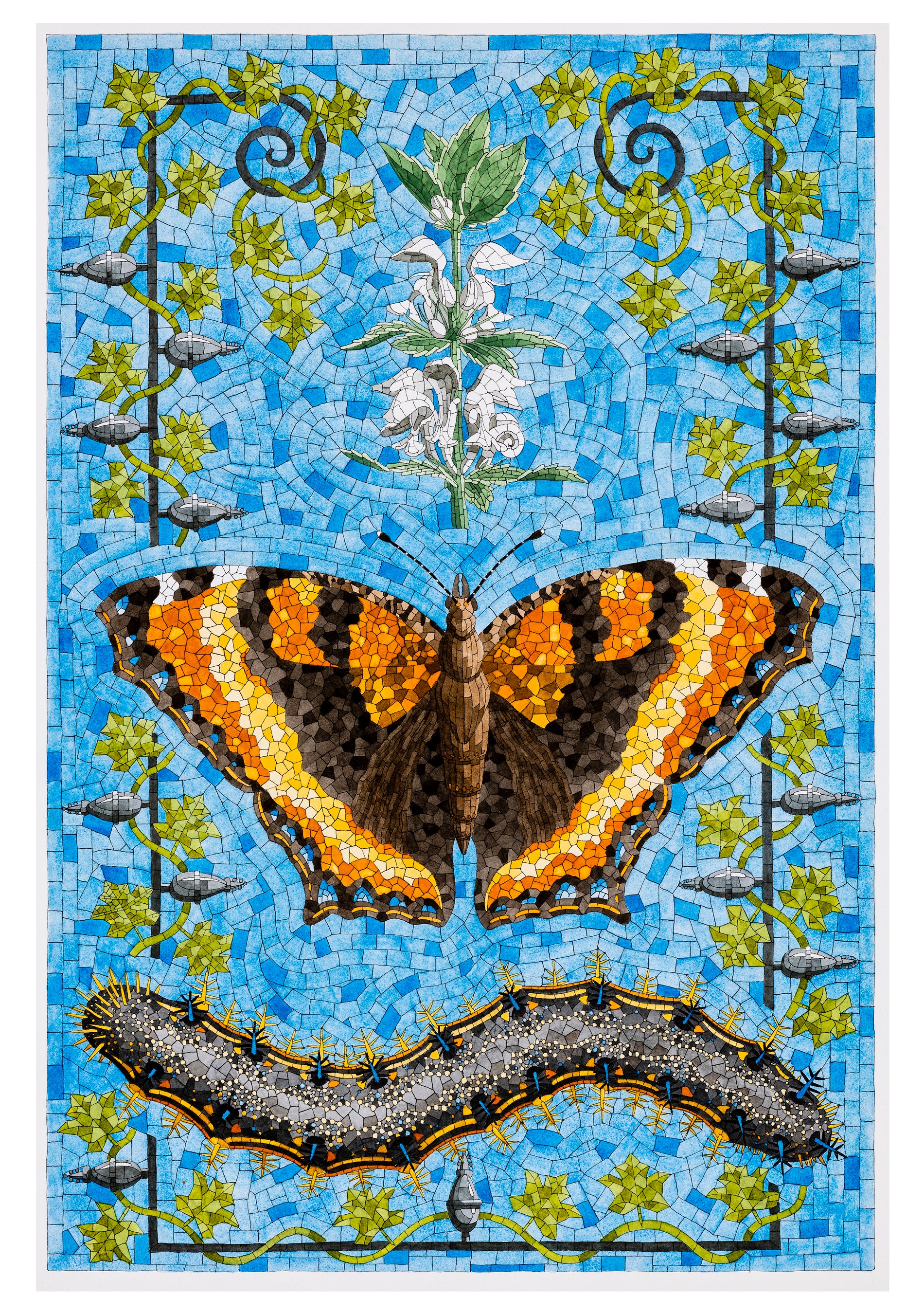 David Cohen: Butterflies Boxed Notecard Assortment - Image 5