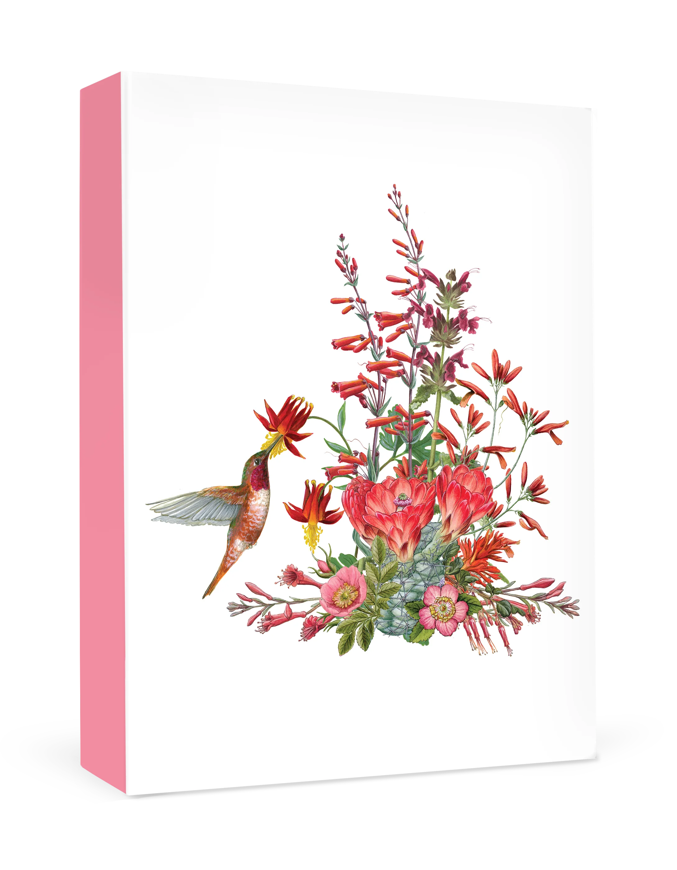 Erin E. Hunter: California Wildflowers in Red Small Boxed Cards