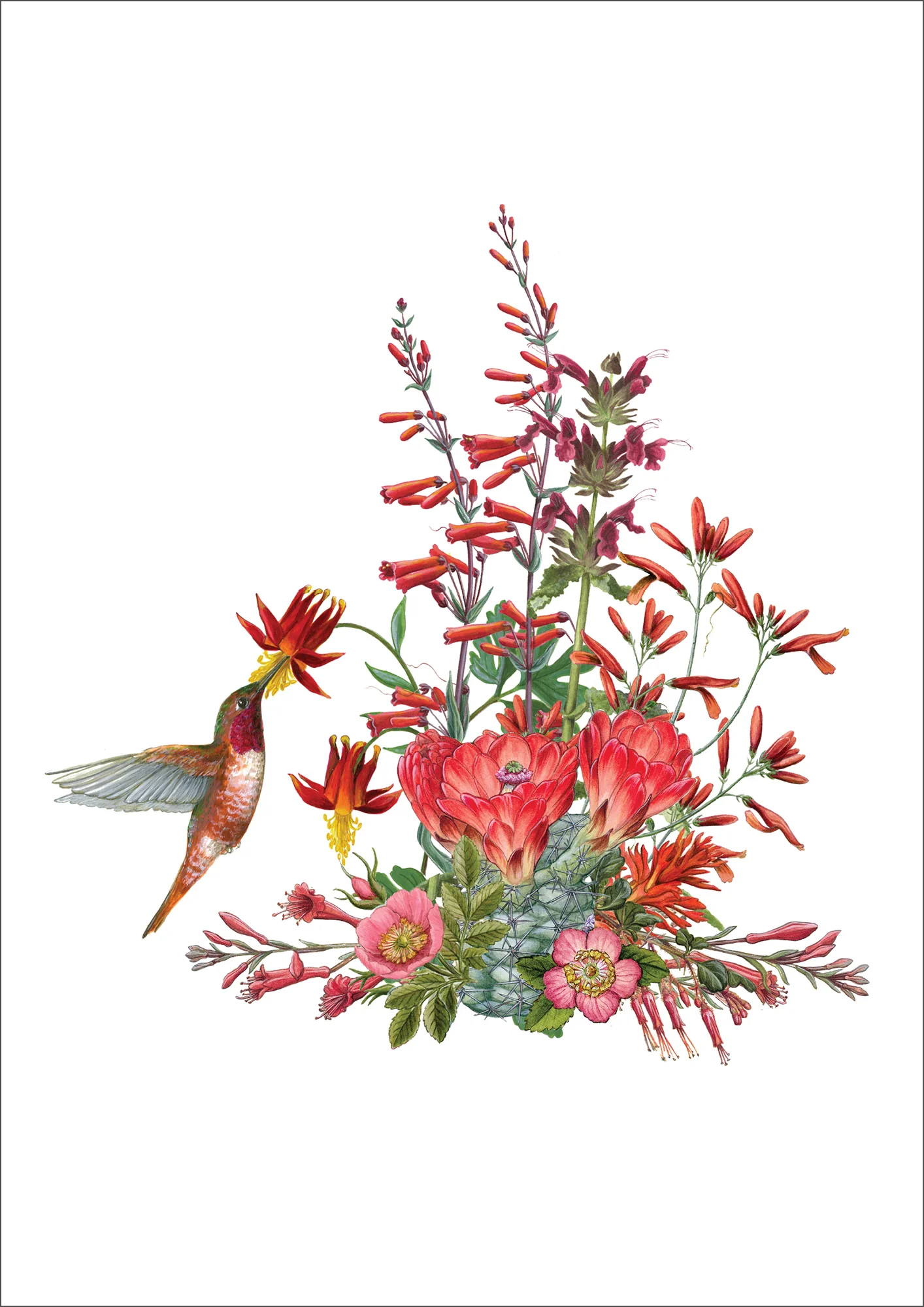 Erin E. Hunter: California Wildflowers in Red Small Boxed Cards - Image 2