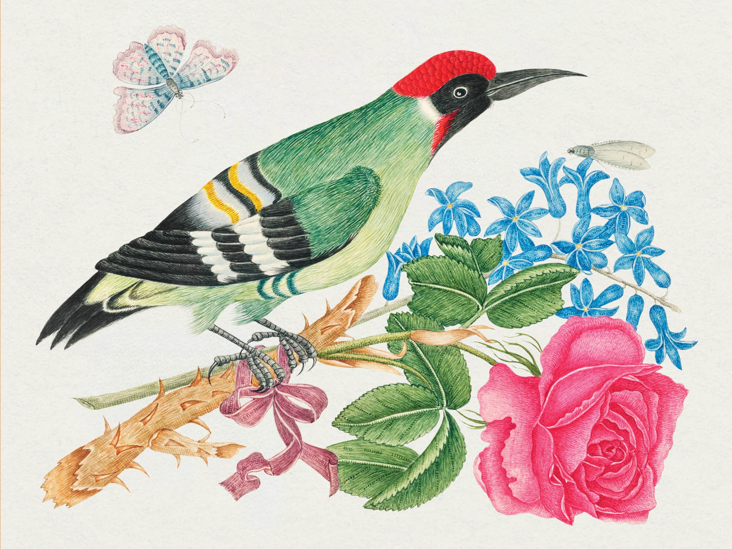 Flowers, Birds & Butterflies Celebrations Boxed Notecards - Image 8