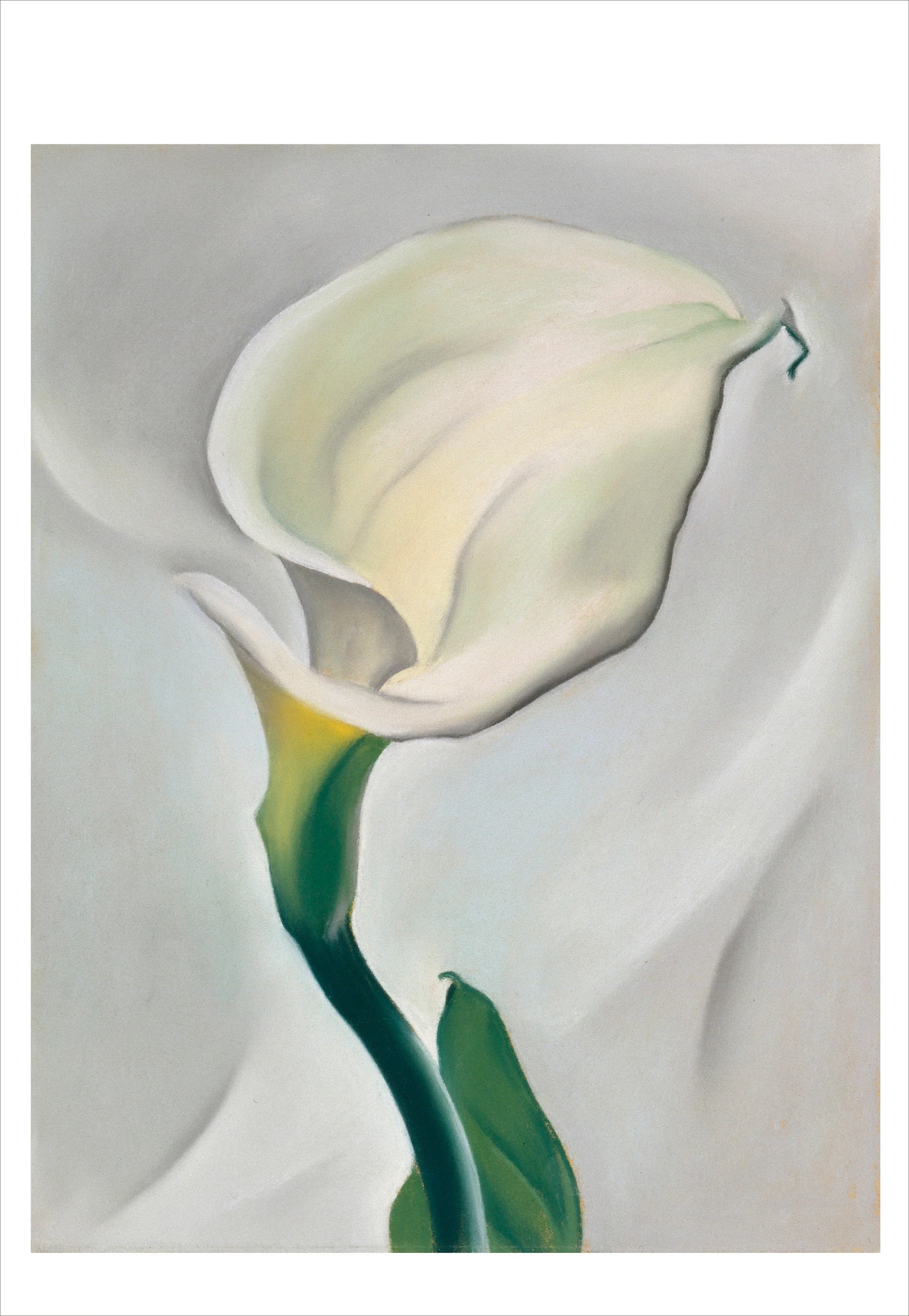 Georgia O'Keeffe Book of Postcards - Image 3