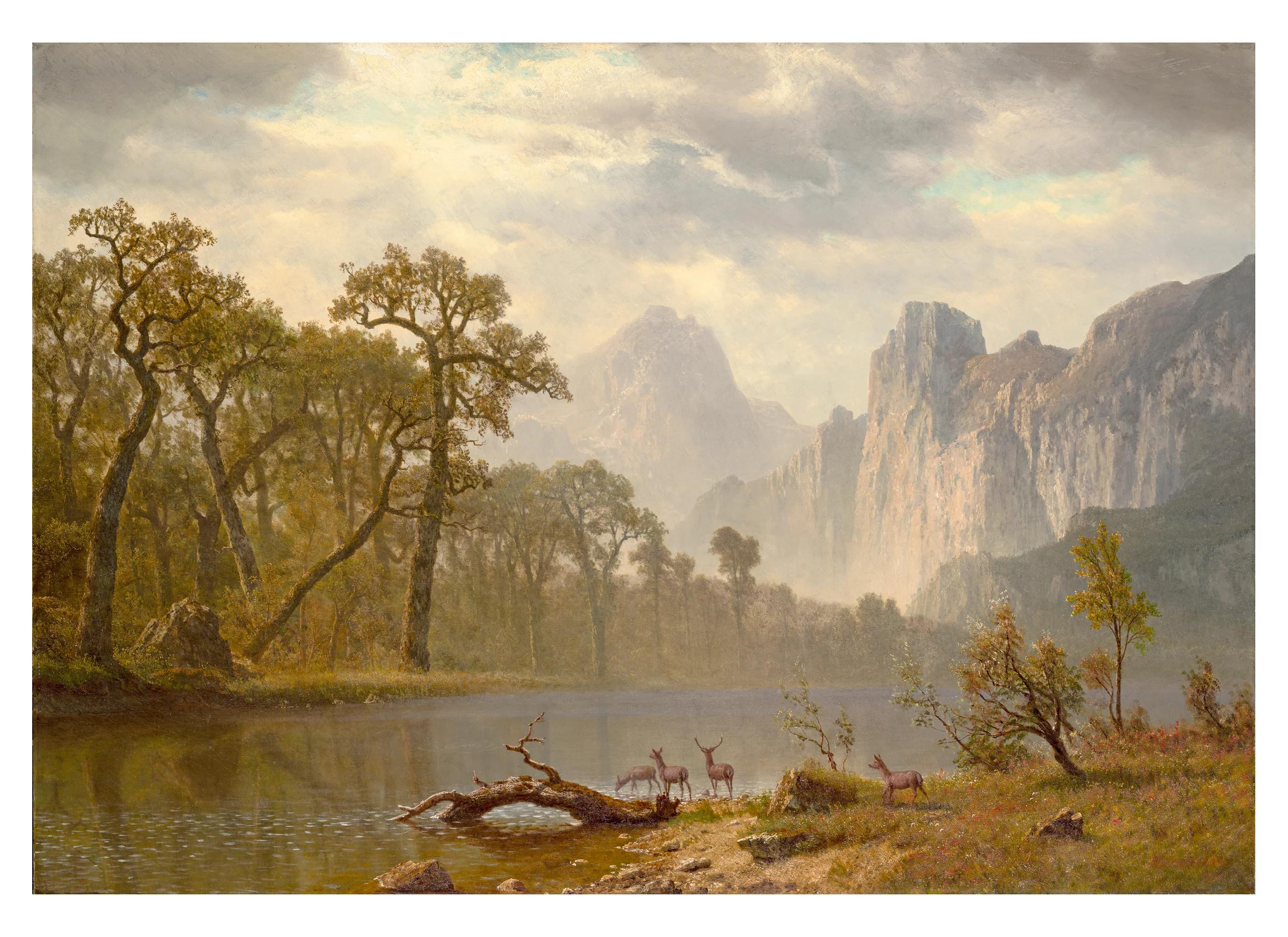 Hudson River School Paintings Book of Postcards - Image 4