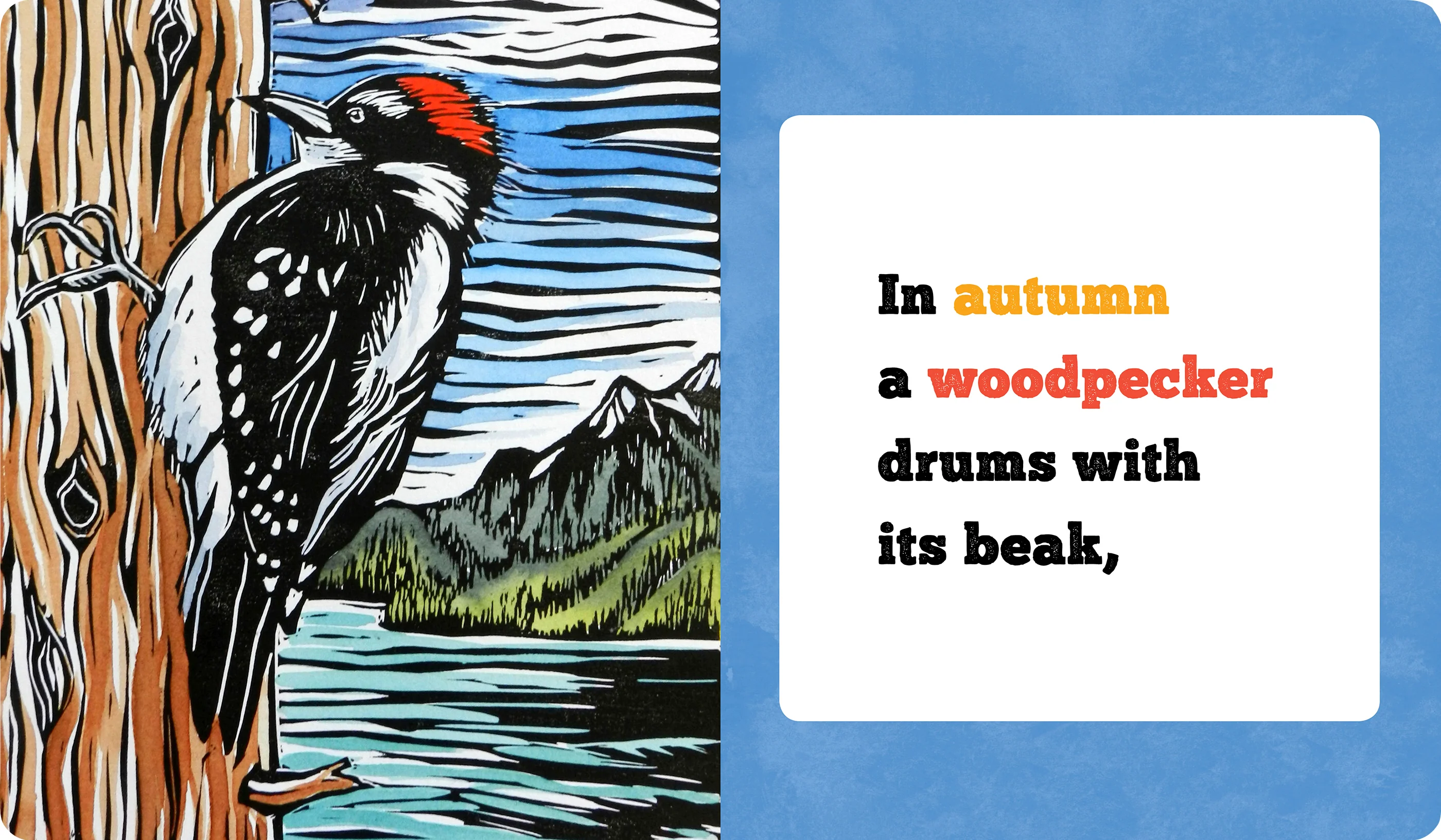 Molly Hashimoto’s Birds! Season by Season Board Book - Image 5