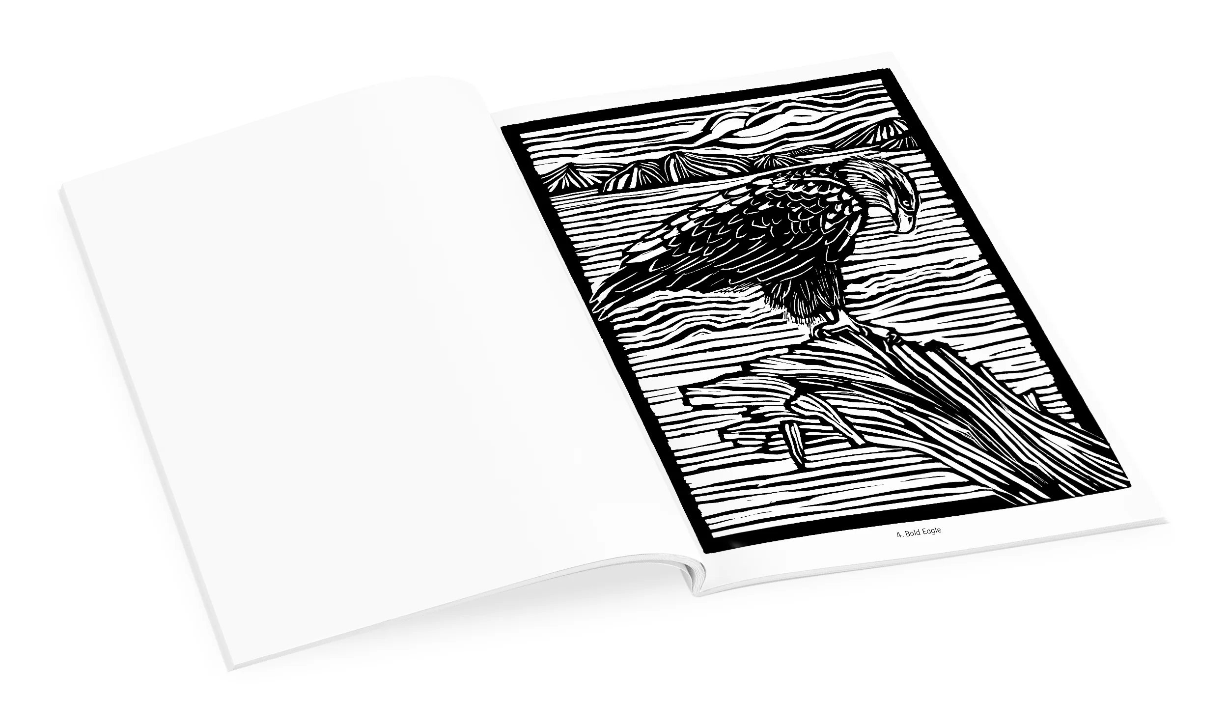 Molly Hashimoto: Birds Coloring Book - Image 4