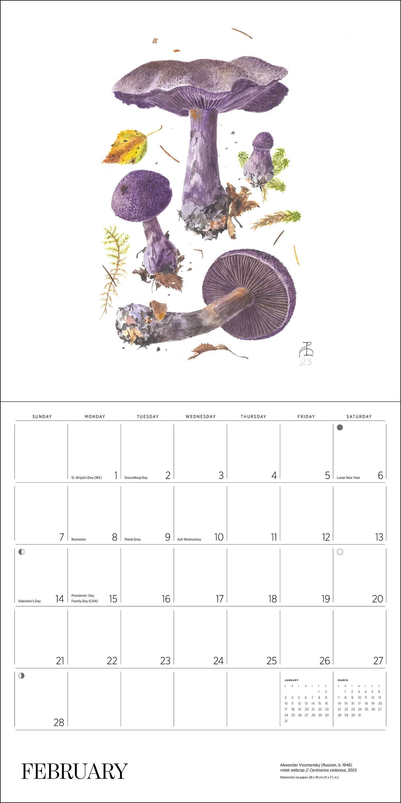 Mushrooms: Alexander Viazmensky 2027 Wall Calendar - Image 3