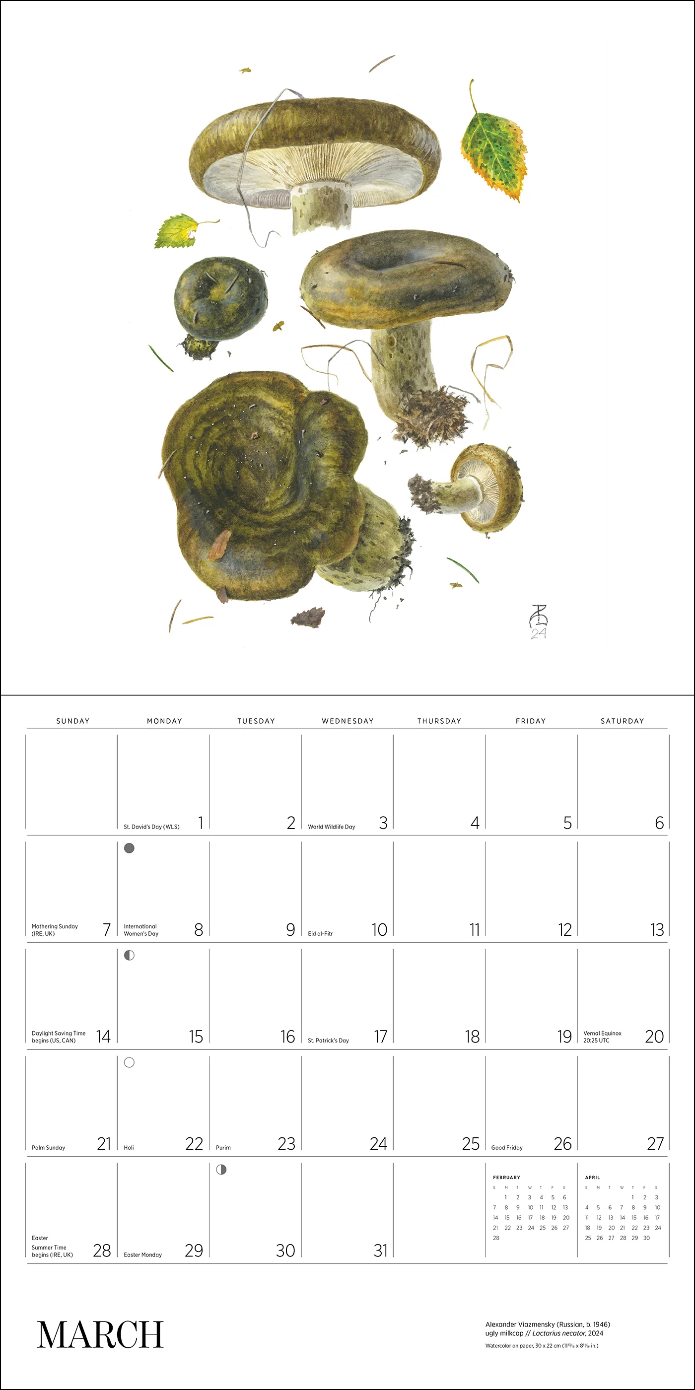 Mushrooms: Alexander Viazmensky 2027 Wall Calendar - Image 4