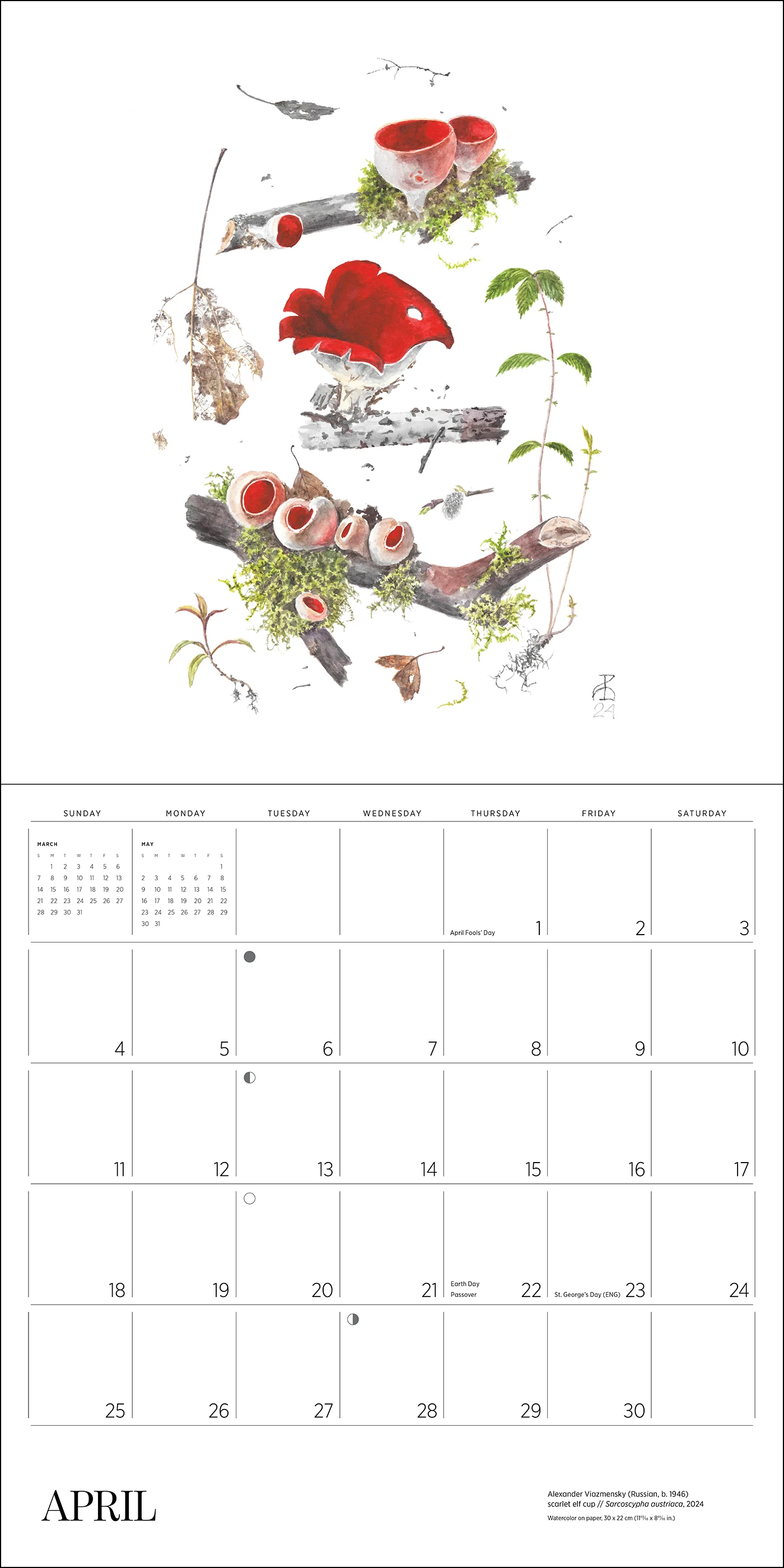 Mushrooms: Alexander Viazmensky 2027 Wall Calendar - Image 5