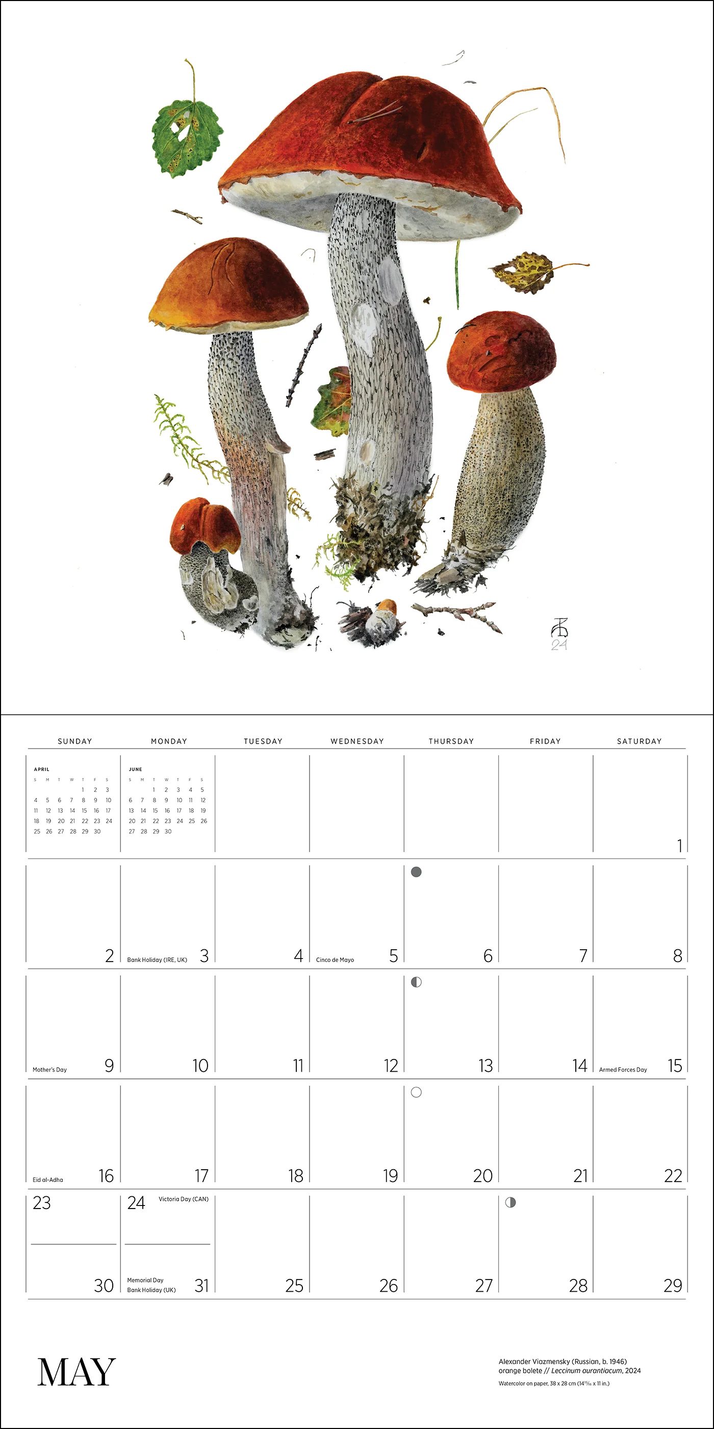 Mushrooms: Alexander Viazmensky 2027 Wall Calendar - Image 6