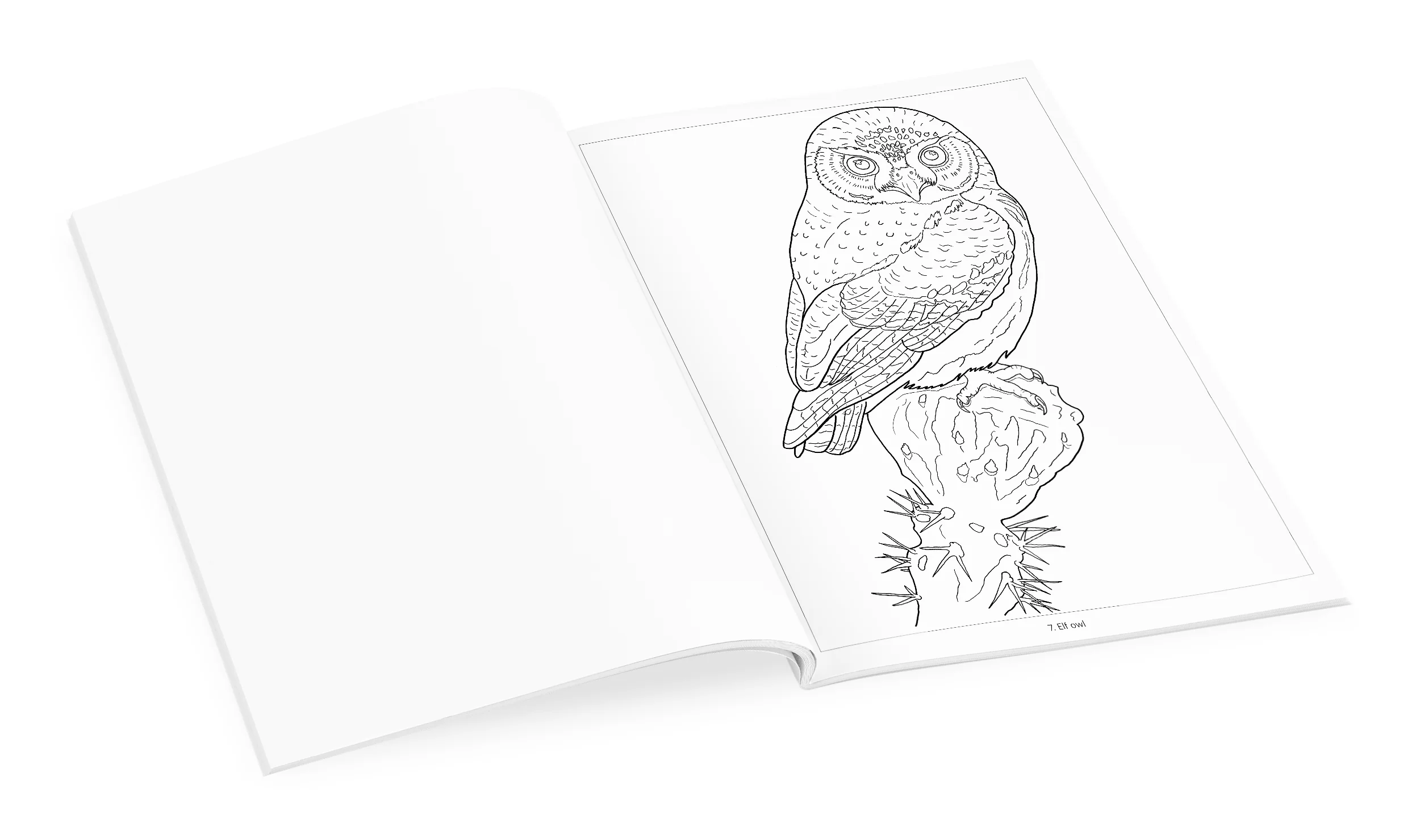 Owls Coloring Book - Image 4
