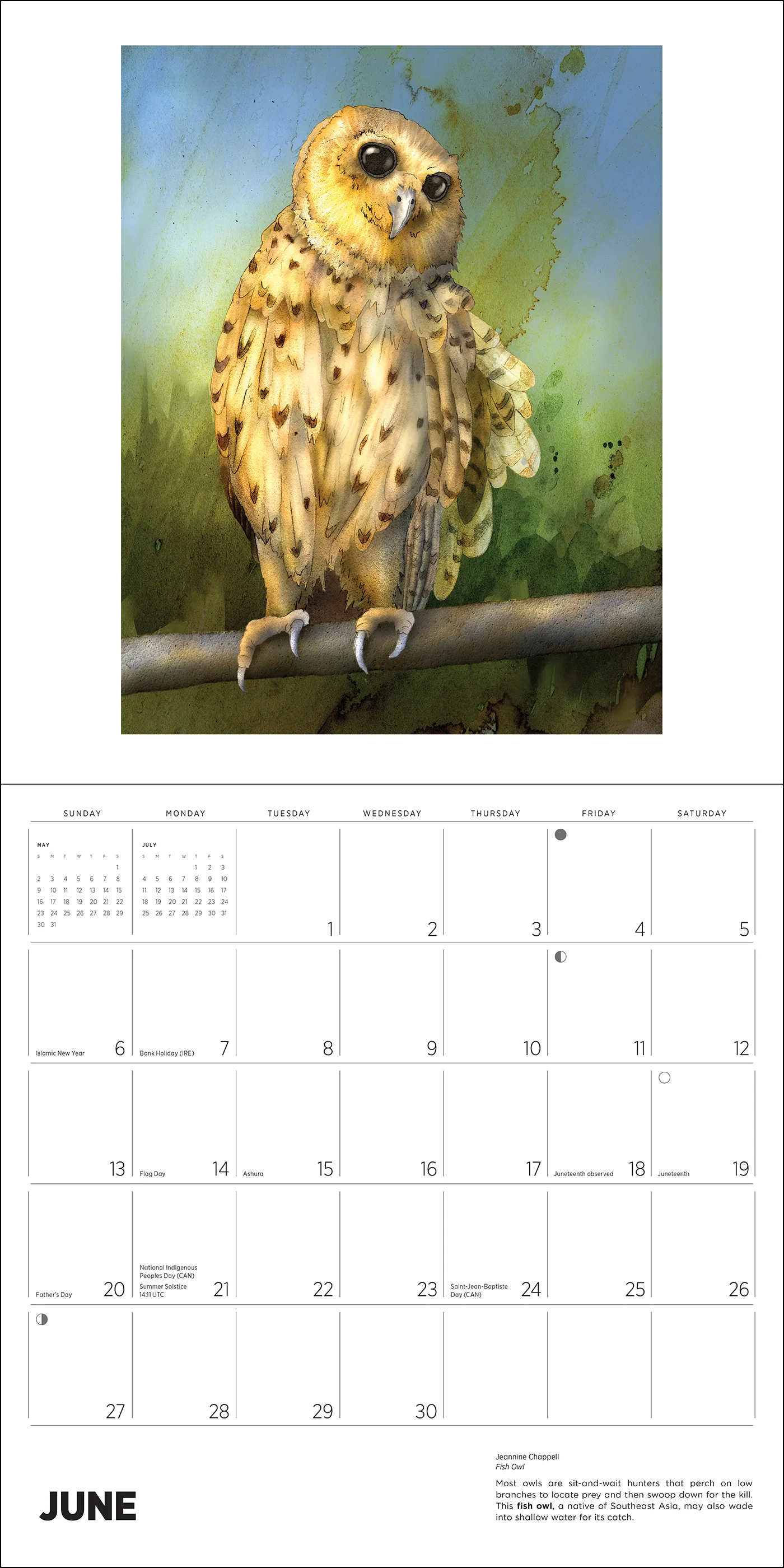 Owls: Jeannine Chappell 2027 Wall Calendar - Image 3