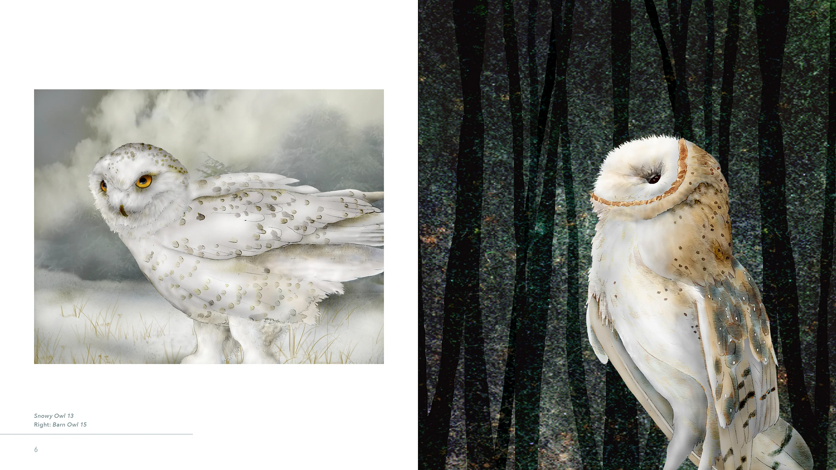 Owls: The Paintings of Jeannine Chappell - Image 4
