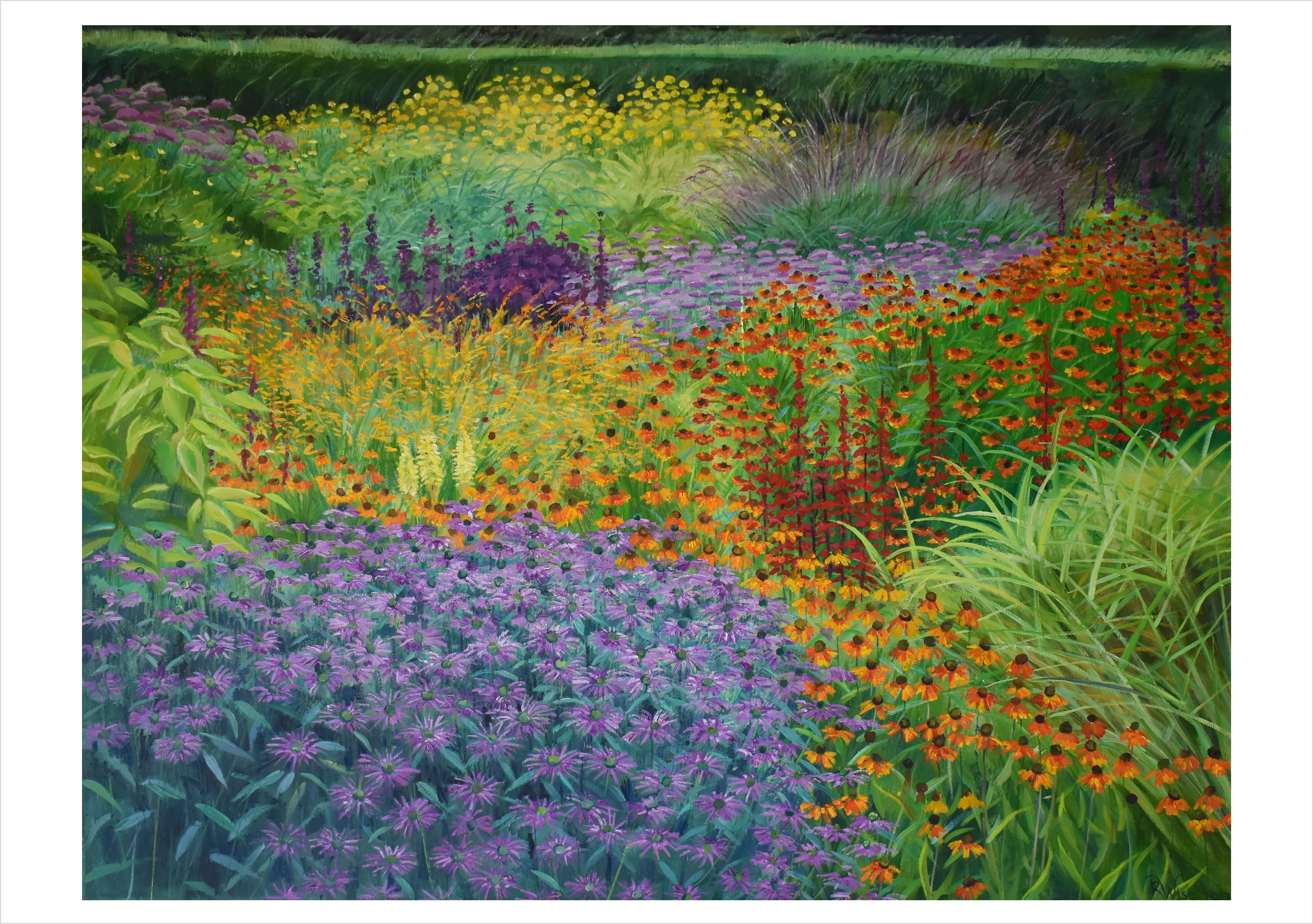 Rosalind Wise: Garden Borders Boxed Notecard Assortment - Image 5