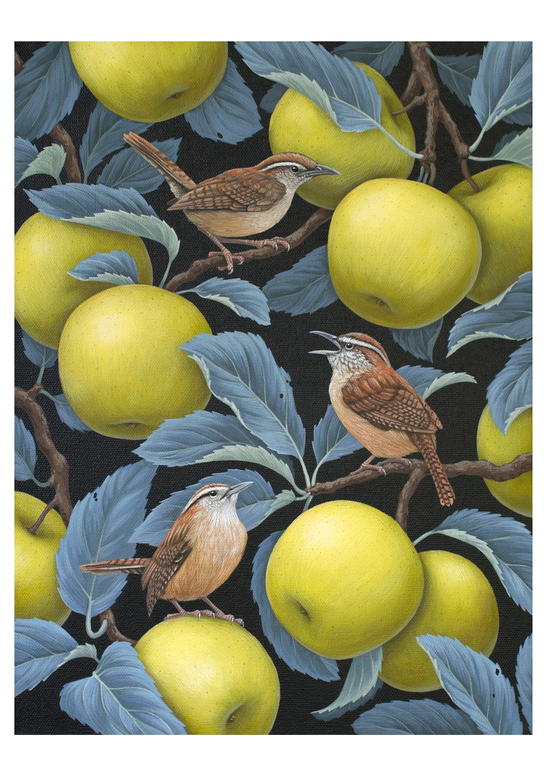 Vasilisa Romanenko: Birds of a Feather Boxed Notecard Assortment - Image 5